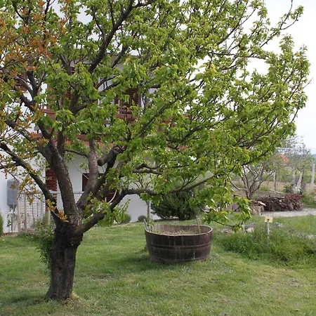 Διαμέρισμα With Parking Space Ljubac, Zadar - 6141